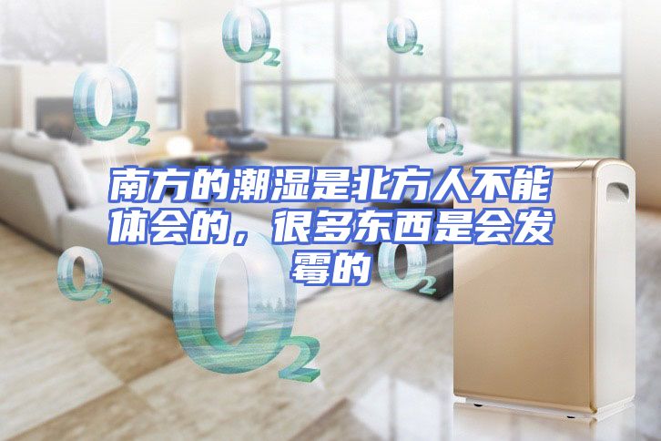 南方的潮湿是北方人不能体会的，很多东西是会发霉的