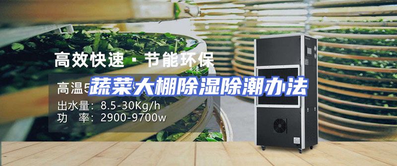 蔬菜大棚除湿除潮办法