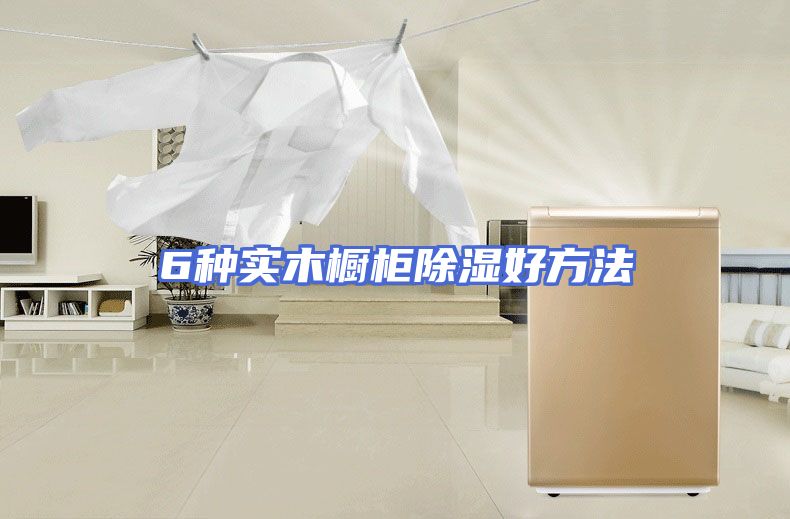 6种实木橱柜除湿好方法
