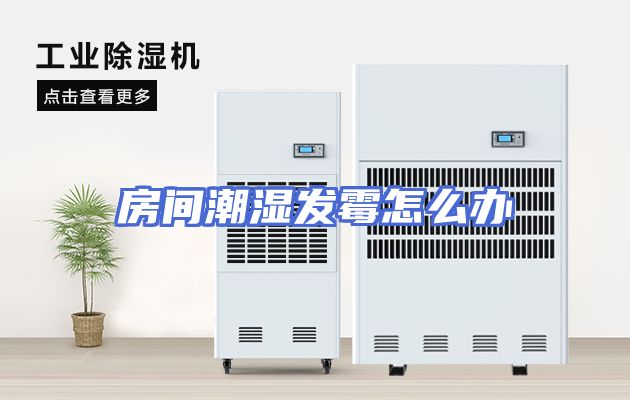 房间潮湿发霉怎么办