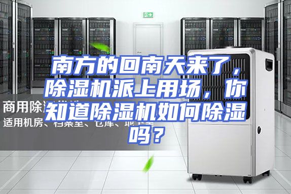 南方的回南天来了，除湿机派上用场，你知道除湿机如何除湿吗？