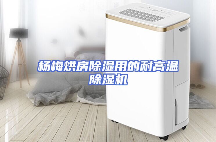 杨梅烘房除湿用的耐高温除湿机