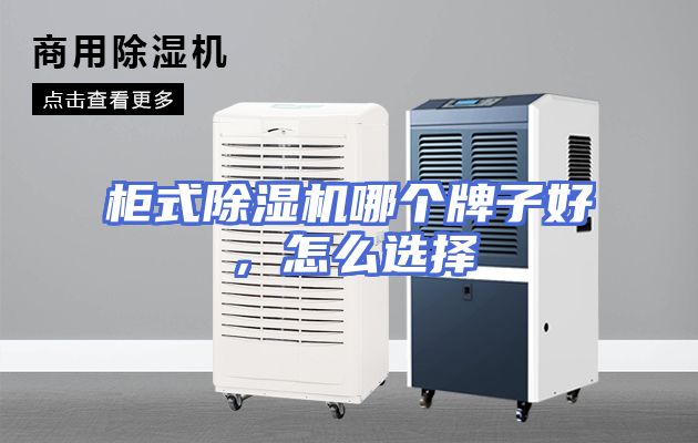 柜式除湿机哪个牌子好，怎么选择