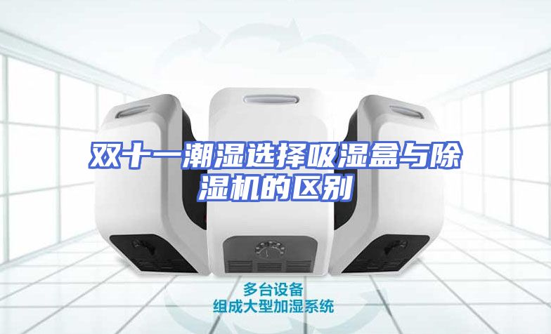 双十一潮湿选择吸湿盒与除湿机的区别