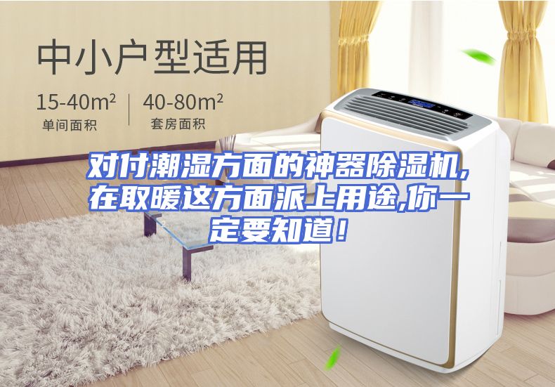对付潮湿方面的神器除湿机,在取暖这方面派上用途,你一定要知道！