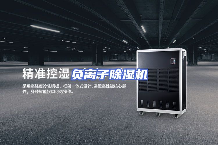 负离子除湿机