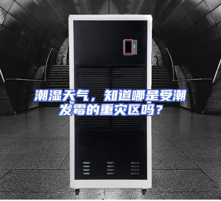 潮湿天气，知道哪是受潮发霉的重灾区吗？