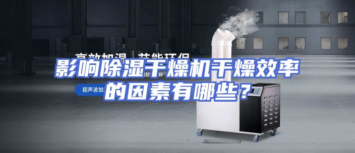 影响除湿干燥机干燥效率的因素有哪些？