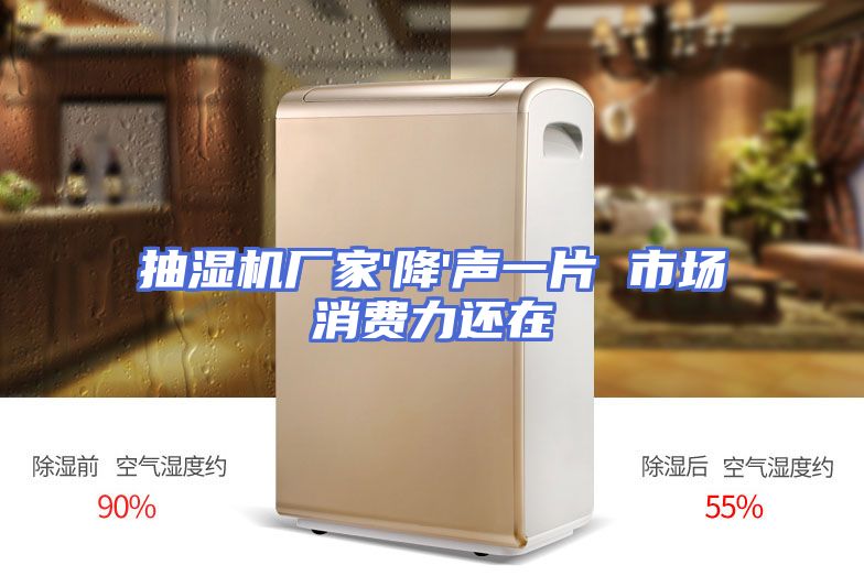 抽湿机厂家'降'声一片 市场消费力还在