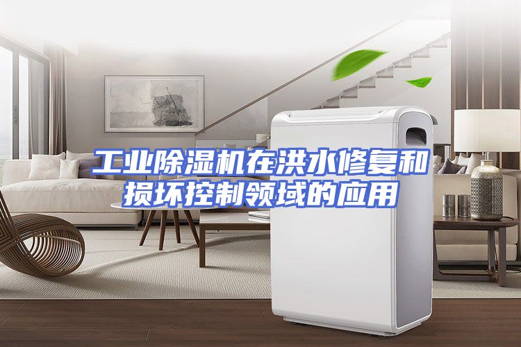 工业除湿机在洪水修复和损坏控制领域的应用