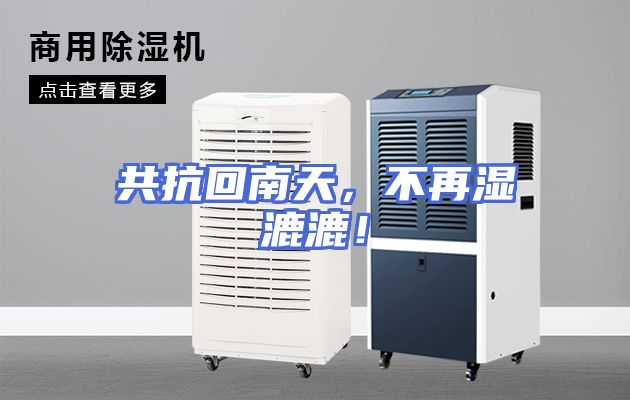 共抗回南天，不再湿漉漉！