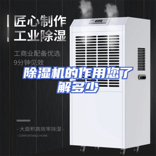 除湿机的作用您了解多少