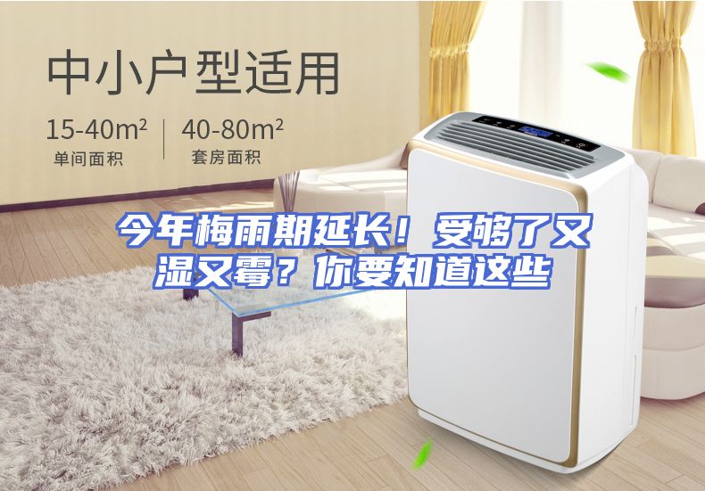 今年梅雨期延长！受够了又湿又霉？你要知道这些