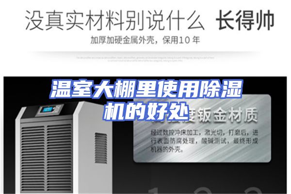 温室大棚里使用除湿机的好处