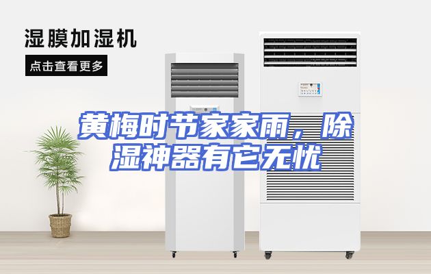 黄梅时节家家雨，除湿神器有它无忧
