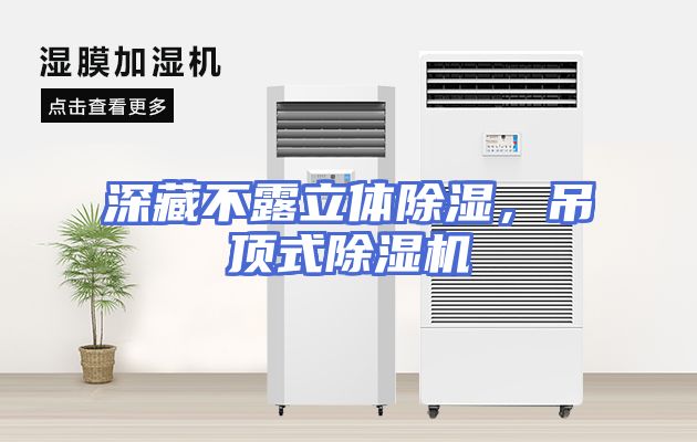 深藏不露立体除湿，吊顶式除湿机