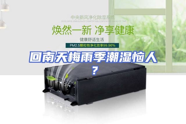 回南天梅雨季潮湿恼人？