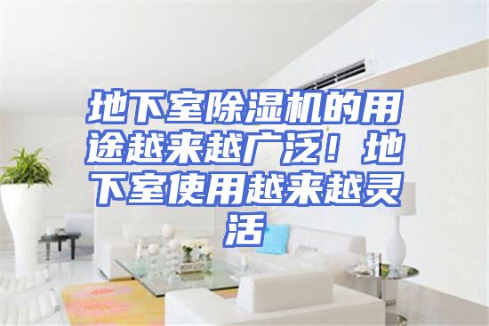 地下室除湿机的用途越来越广泛！地下室使用越来越灵活