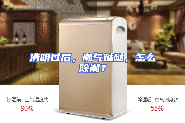 清明过后，潮气哒哒，怎么除潮？