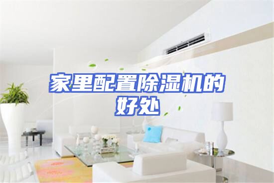 家里配置除湿机的好处