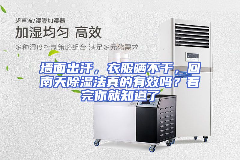 墙面出汗，衣服晒不干，回南天除湿法真的有效吗？看完你就知道了