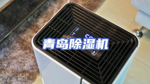青岛除湿机