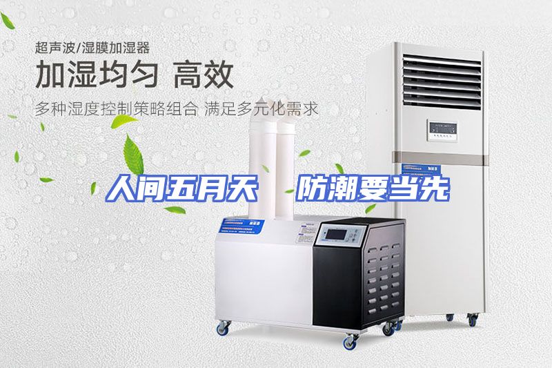 人间五月天  防潮要当先