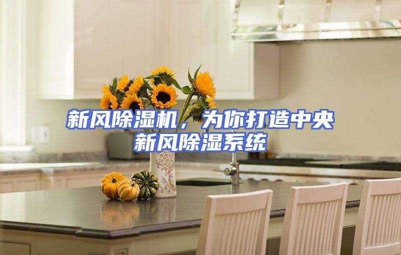 新风除湿机，为你打造中央新风除湿系统