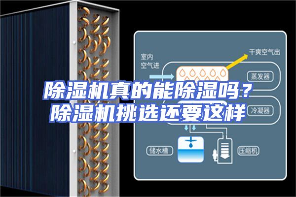 除湿机真的能除湿吗？除湿机挑选还要这样