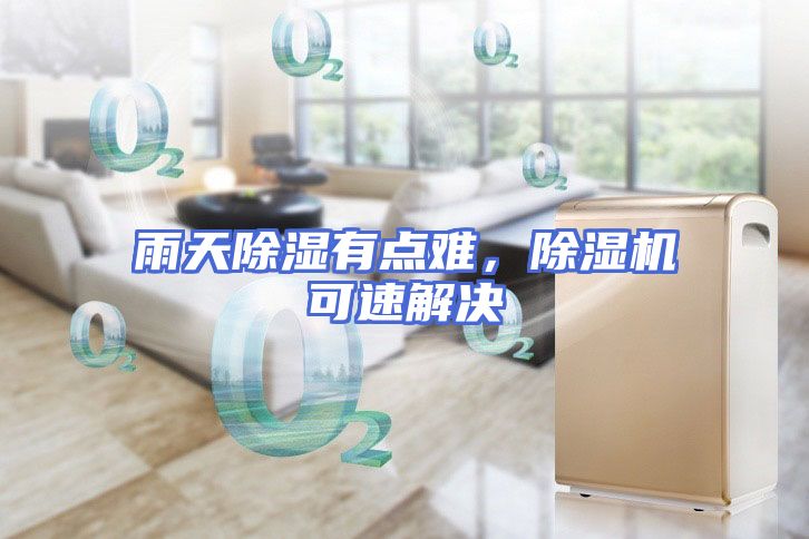 雨天除湿有点难，除湿机可速解决