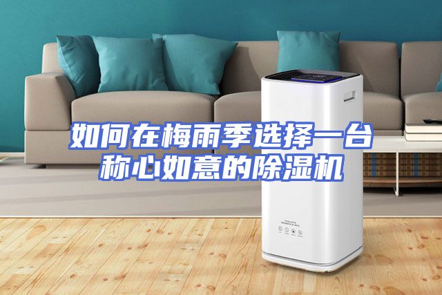 如何在梅雨季选择一台称心如意的除湿机