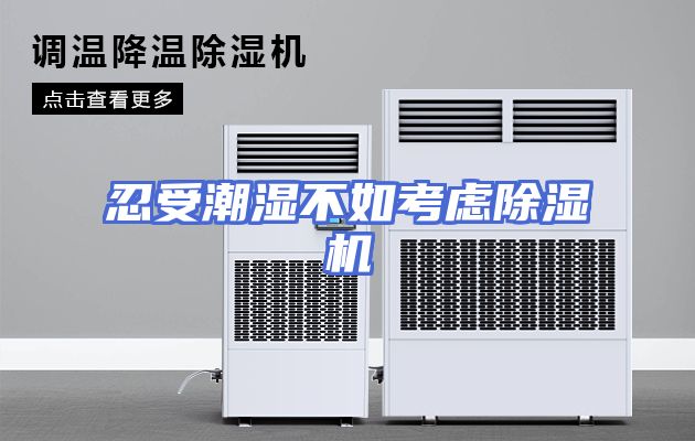 忍受潮湿不如考虑除湿机