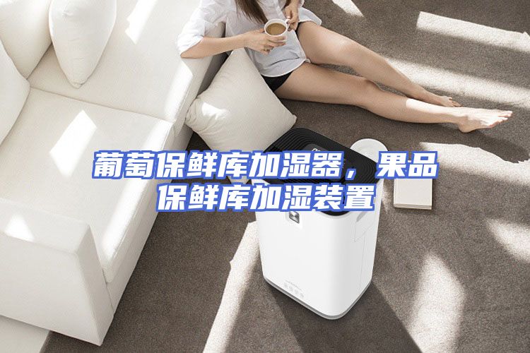 葡萄保鲜库加湿器，果品保鲜库加湿装置