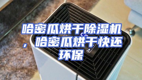 哈密瓜烘干除湿机，哈密瓜烘干快还环保