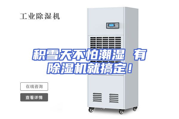 积雪天不怕潮湿 有除湿机就搞定！