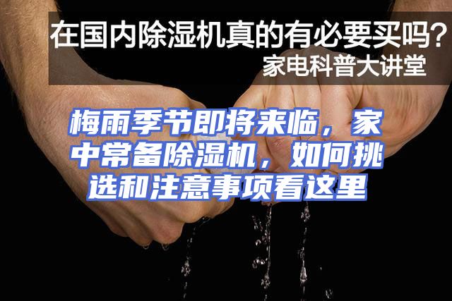 梅雨季节即将来临，家中常备除湿机，如何挑选和注意事项看这里