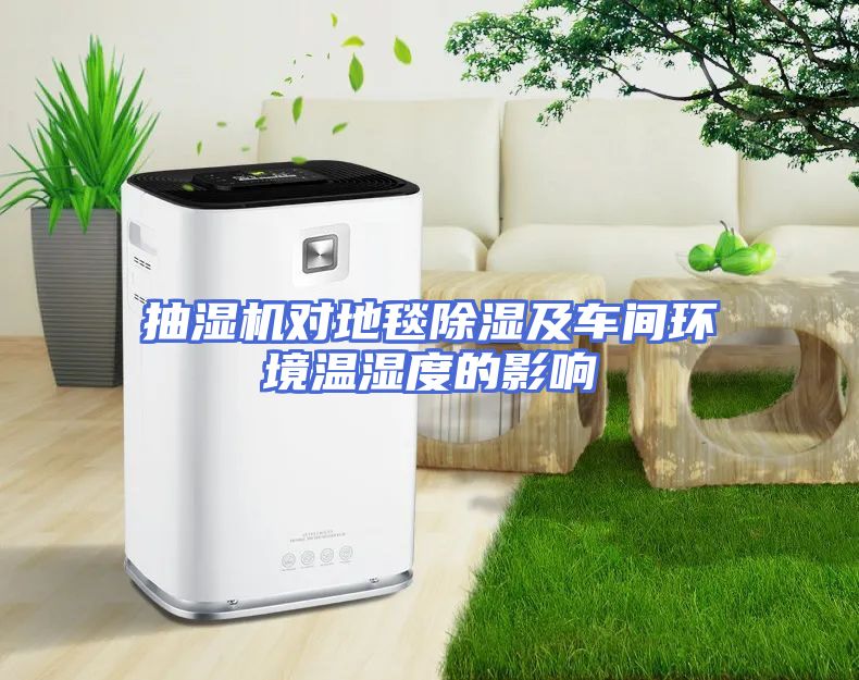 抽湿机对地毯除湿及车间环境温湿度的影响