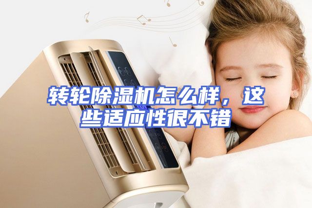 转轮除湿机怎么样，这些适应性很不错