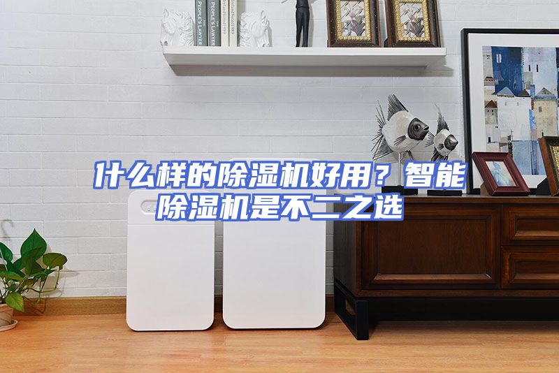 什么样的除湿机好用？智能除湿机是不二之选