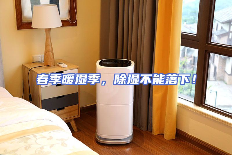 春季暖湿季，除湿不能落下！