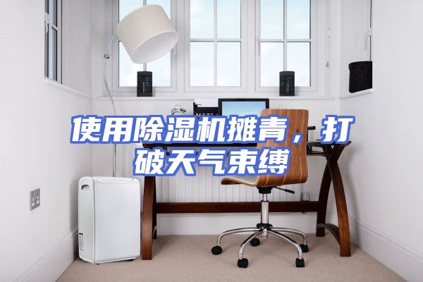 使用除湿机摊青，打破天气束缚
