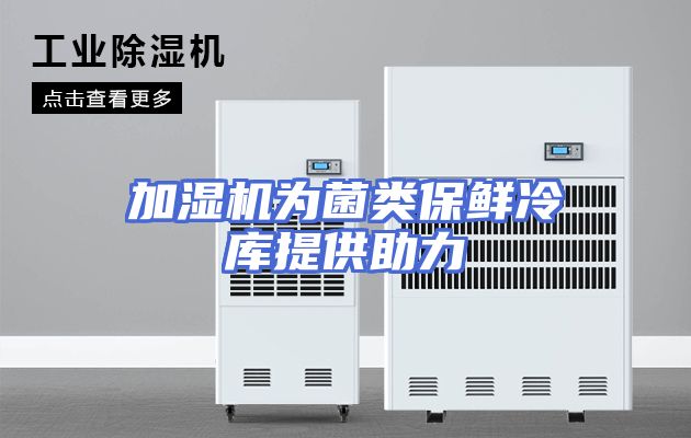 加湿机为菌类保鲜冷库提供助力