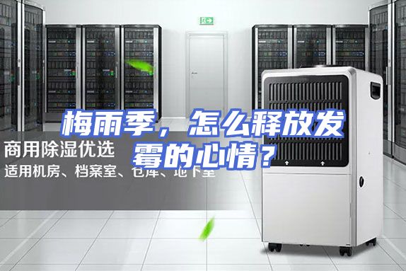 梅雨季，怎么释放发霉的心情？