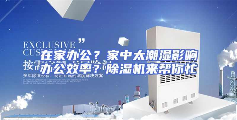 在家办公？家中太潮湿影响办公效率？除湿机来帮你忙