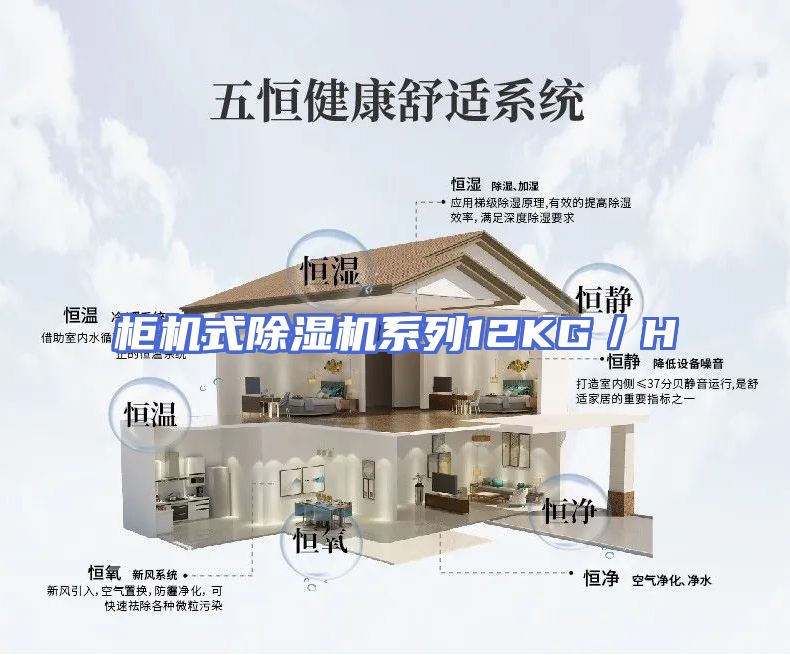 柜机式除湿机系列12KG／H