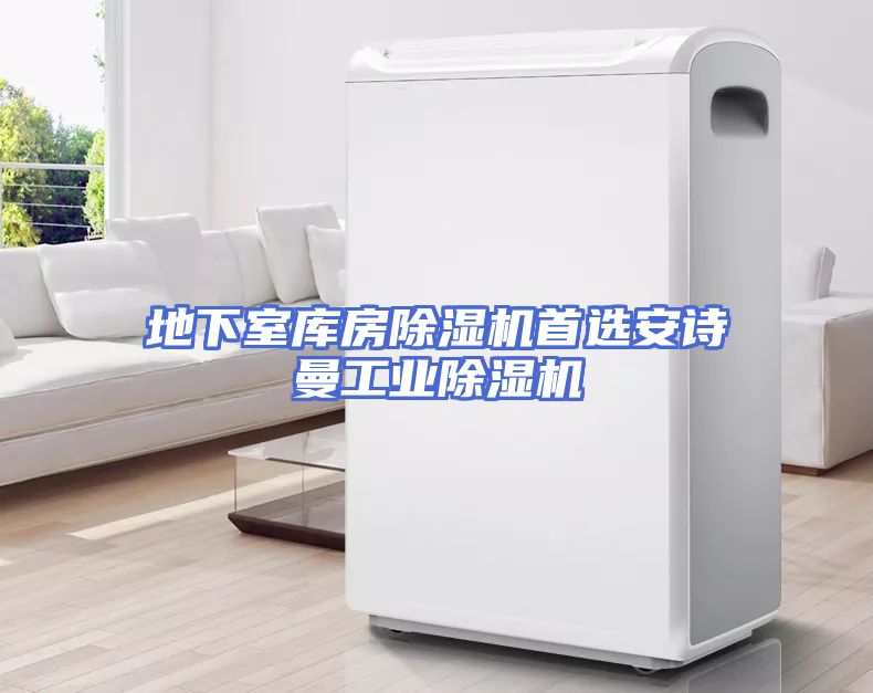 地下室库房除湿机首选安诗曼工业除湿机