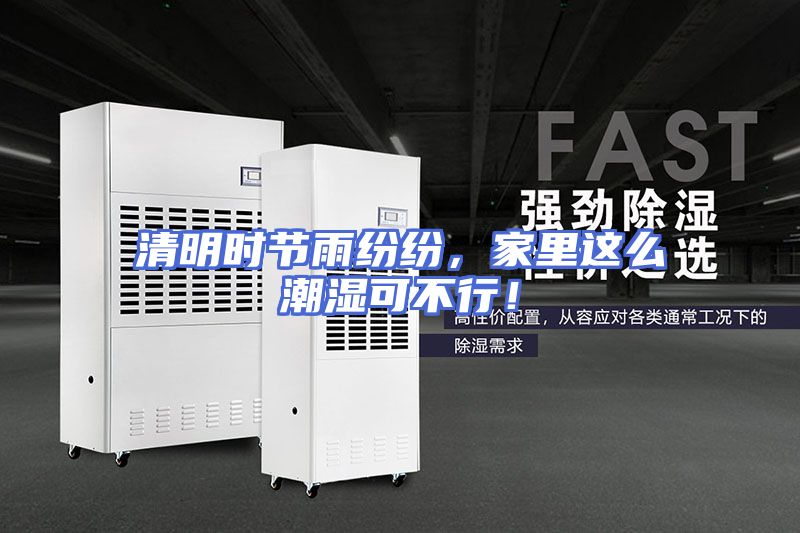 清明时节雨纷纷，家里这么潮湿可不行！