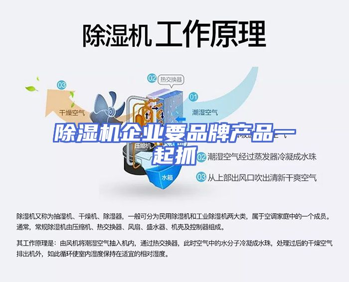 除湿机企业要品牌产品一起抓