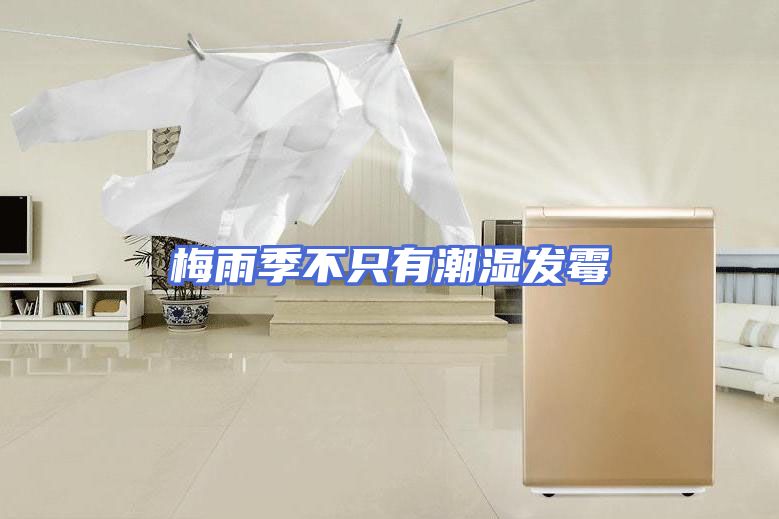 梅雨季不只有潮湿发霉