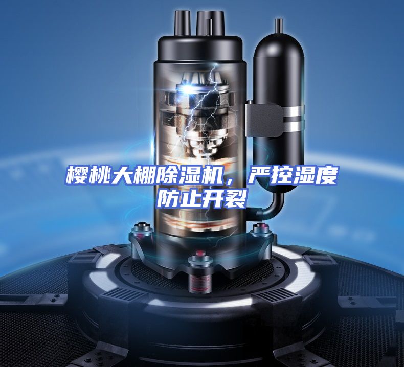 樱桃大棚除湿机，严控湿度防止开裂